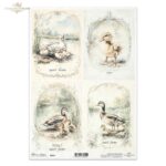 HÂRTIE DE OREZ DECOUPAGE COLECTIE ITD A4 - R2564