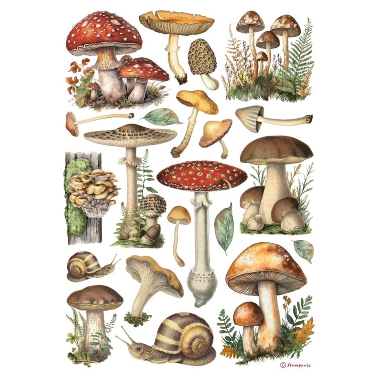 full_DFSA41000_1 HÂRTIE DE OREZ STAMPERIA CIUPERCI DECOUPAGE A4-DFSA41000 - Imagine 1