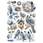 HÂRTIE DE OREZ STAMPERIA BIRDS DECOUPAGE A4-DFSA41003