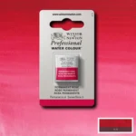 CU VOPSEA ÎN ACUARELĂ PROFESSIONAL H/PAN - TRANDAFIR PERMANENT