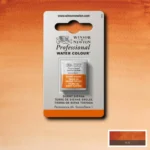 CU VOPSEA ACUARELĂ PROFESIONALĂ H/PAN - BURNT SIENNA 0101074