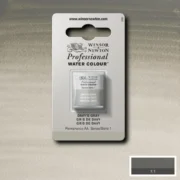 CU VOPSEA ÎN ACUARELĂ PROFESSIONAL H/PAN - DAVY'S GRAY