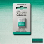 CU VOPSEA ÎN ACUARELĂ PROFESSIONAL H/PAN - VERDE COBALT