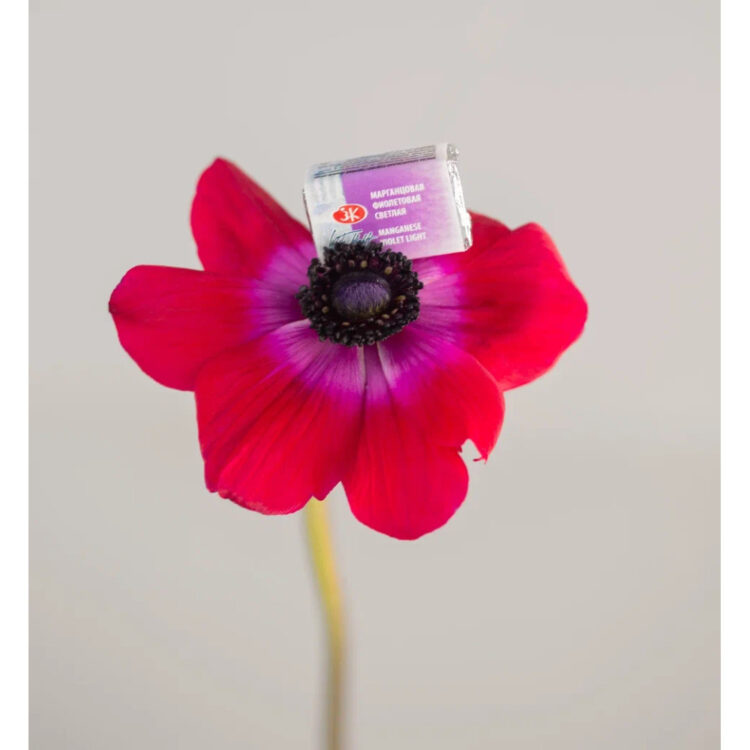 VOPSEA ACUARELĂ LENINGRAD 2,5 ML. - LUMINĂ VIOLET MANGAN - Imagine 2