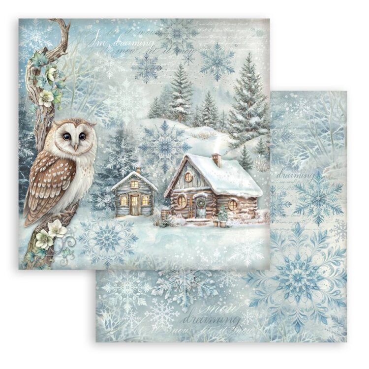 BLOC DE HÂRTIE STAMPERIA THE OWL'S HOUSE 30.5/30.5CM-SBBL174 - Imagine 3