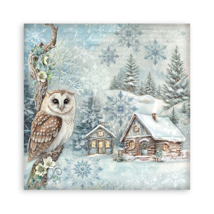 BLOC DE HÂRTIE STAMPERIA THE OWL'S HOUSE 30.5/30.5CM-SBBL174 - Imagine 4