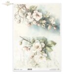 HÂRTIE DE OREZ DECOUPAGE COLECTIE ITD A3 - R1424L