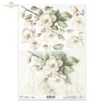 HÂRTIE DE OREZ DECOUPAGE COLECTIE ITD A4 - R2591