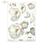 HÂRTIE DE OREZ DECOUPAGE COLECTIE ITD A4 - R2692