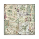 BARA DE HÂRTIE PENTRU HERBARIU STAMPERIA 20,3/20,3 CM - SBBS136 - Imagine 33