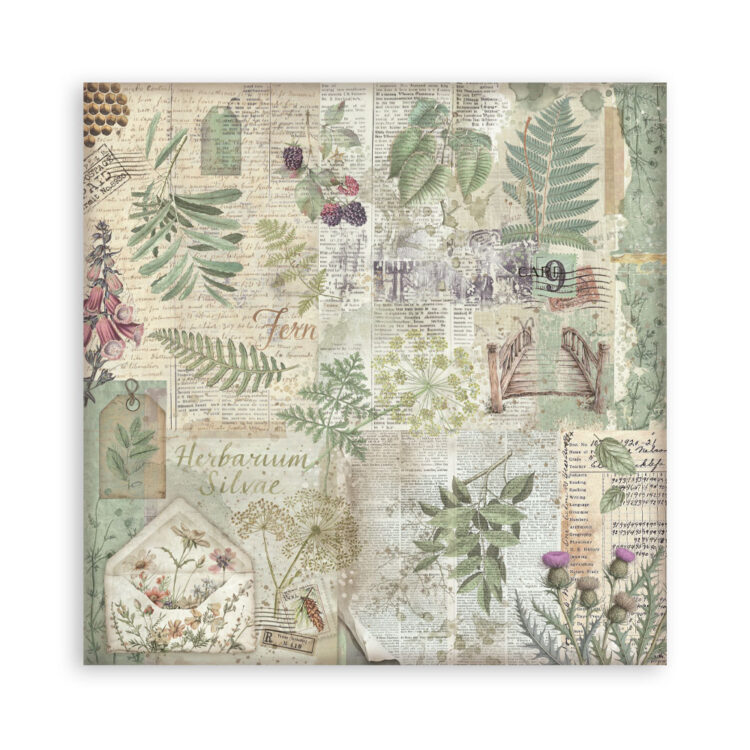 BARA DE HÂRTIE PENTRU HERBARIU STAMPERIA 20,3/20,3 CM - SBBS136 - Imagine 33