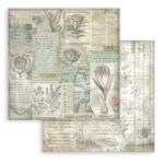 BARA DE HÂRTIE PENTRU HERBARIU STAMPERIA 20,3/20,3 CM - SBBS136 - Imagine 20