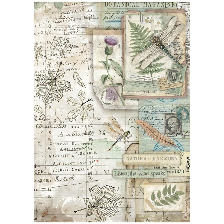 full_DFSA41078_1 HÂRTIE DE OREZ DECOUPAGE PENTRU HERBARIU STAMPERIA A4 - DFSA41078 - Imagine 1