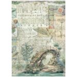 HÂRTIE DE OREZ DECOUPAGE PENTRU HERBARIU STAMPERIA A4 - DFSA41079